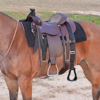 CASHEL Step Up Stirrup X-Long 76"