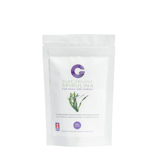 G's Organic Spirulina 100g Bag