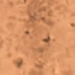 Square Floral Berry Concho-Antique Copper