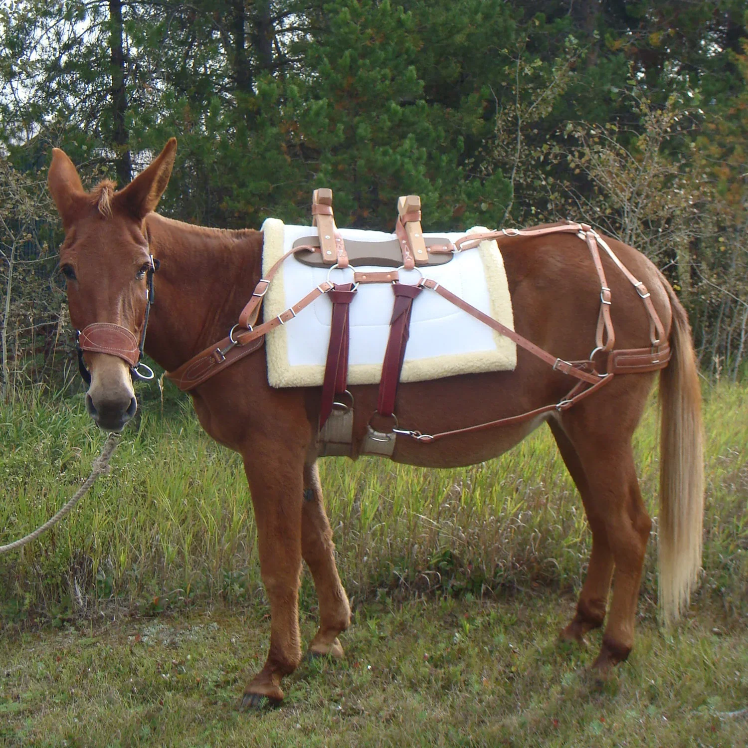 Trail Max Deluxe Canvas And Fleece Pack Pad - Image 2