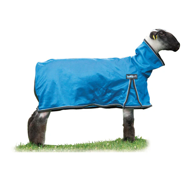 Weaver ProCool™ Mesh Sheep Blanket with Reflective Piping - Image 2