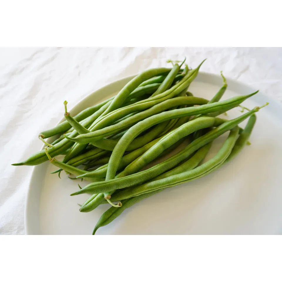 West Coast Seeds Beans - Goliath Organic 20g