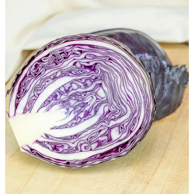 West Coast Seeds Cabbage - Integro F1 Coated Organic  15 Seeds