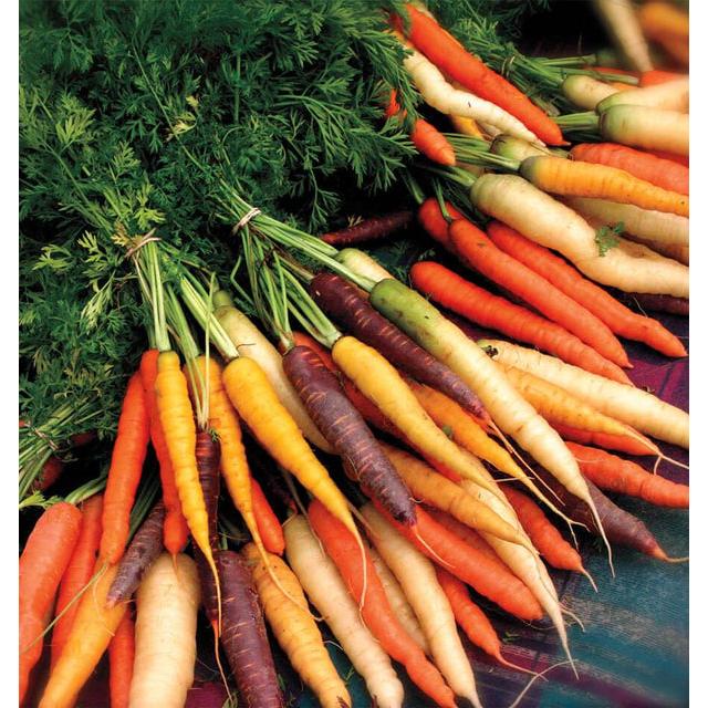 West Coast Seeds Carrots - Rainbow Blend 0.75g - Image 2