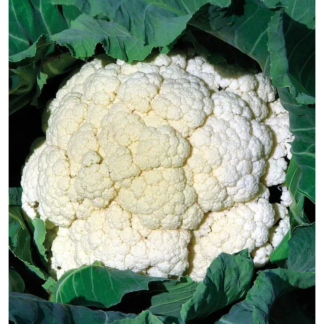 West Coast Seeds Cauliflower - Amazing   0.1g