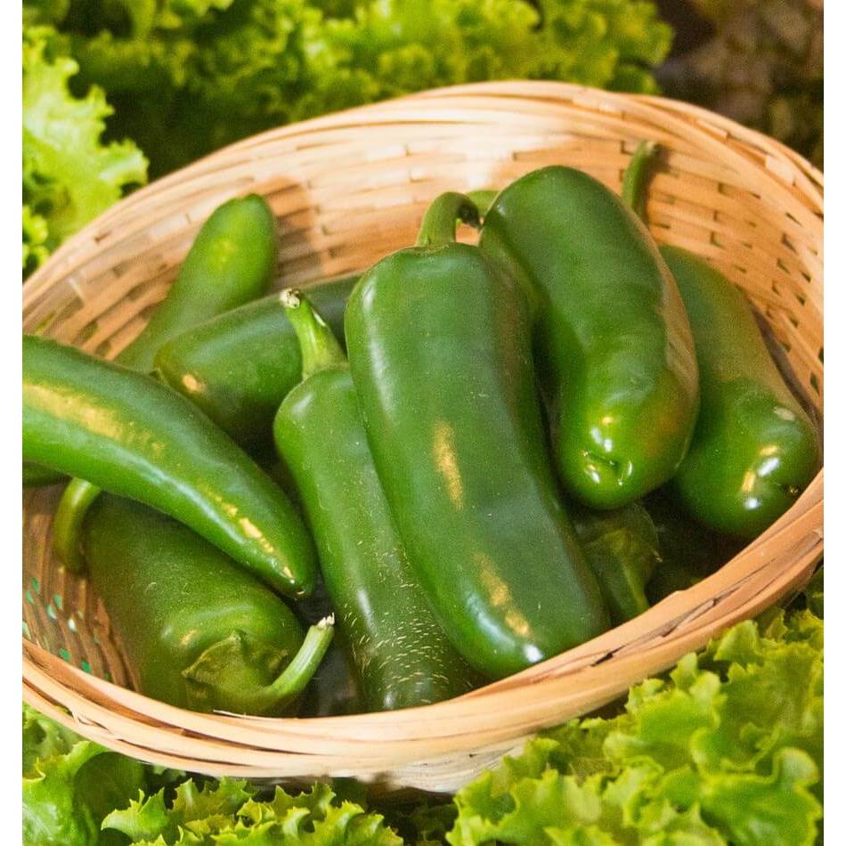 West Coast Seeds Vegetable - Pepper-Hot - Jalapeno  0.25g