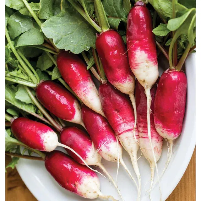 West Coast Seeds Vegetable - Radishes - French Breakfast  10g