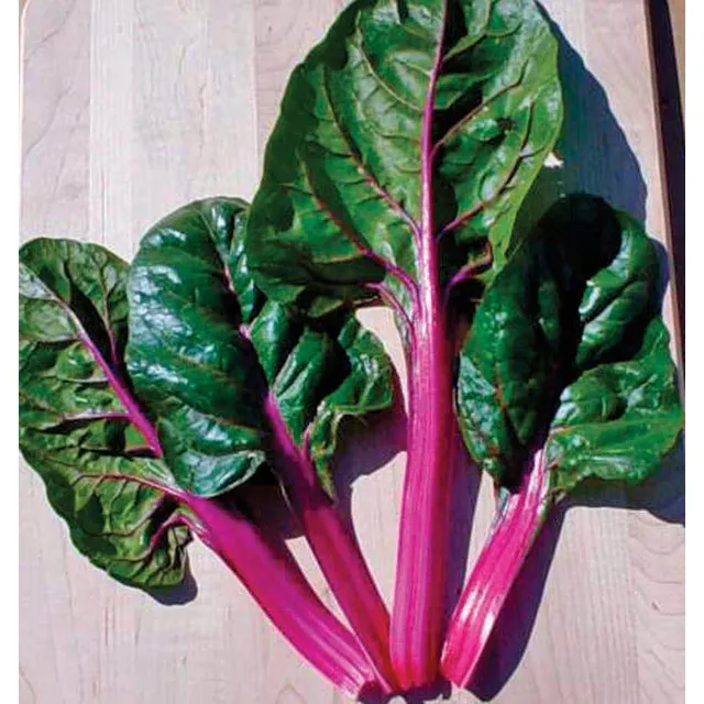 West Coast Seeds Vegetable - Swiss Chard - Magenta Sunset 2g