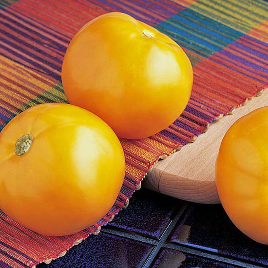West Coast Seeds Vegetable - Tomatoes - Carolina Gold F1   10 Seeds