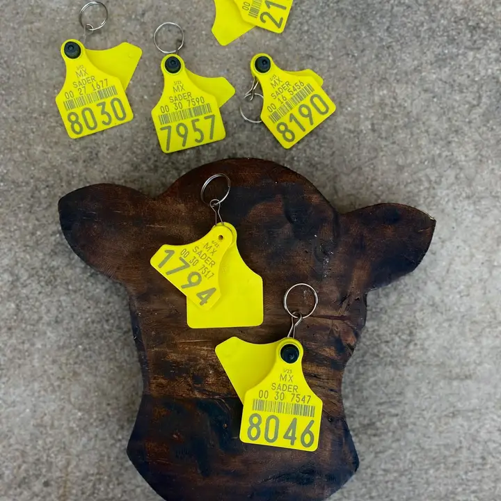 Western Linens Cowtag Keychain - Image 2